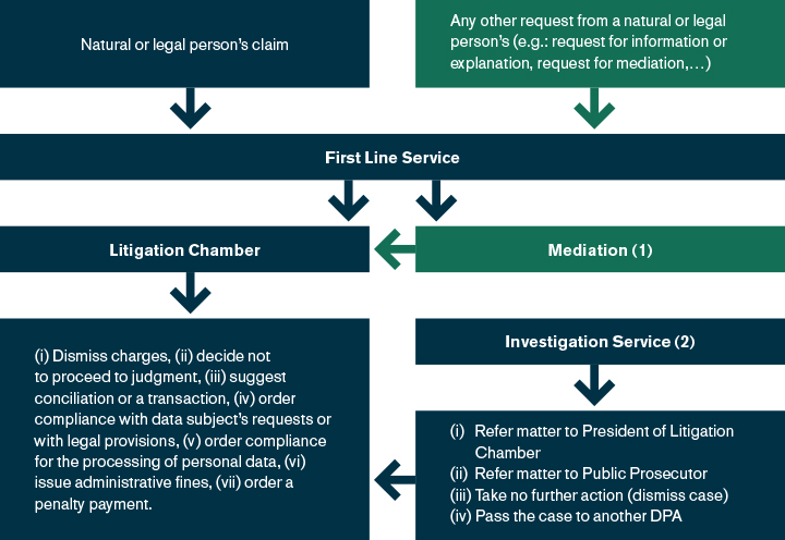 Data protection litigation scenario