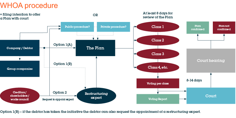 WHOA Procedure Diagram